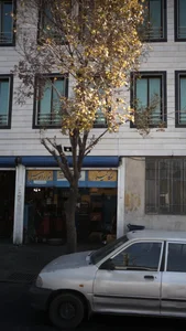 مکانیکی انواع اتومبیل 2