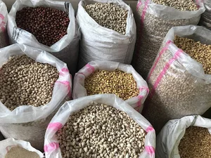 آجیل و خشکبار توکل