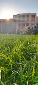 دانشکده جغرافیا و علوم محیطی