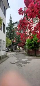 هتل آپارتمان پارادایس