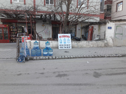hayat su