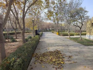 بوستان ارم 3