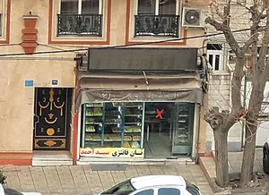 نان فانتزی سید احمد 2