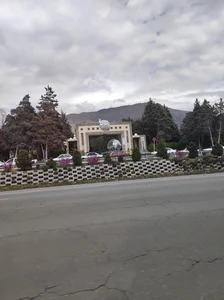باربری و اتوبار تیموری
