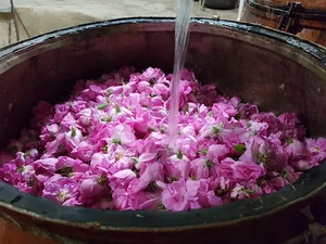 گلاب افتخاریان