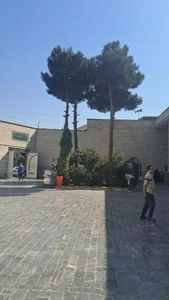 مسجد امام حسن عسگری (ع) 3