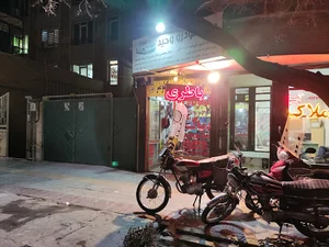 برق خودرو اوکراینی