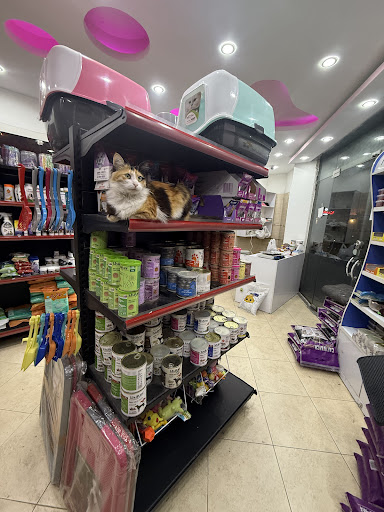 پت شاپ زدپی