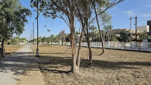 Gardens Al-Sa'ad General District