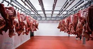 مارکت گوشت مانی