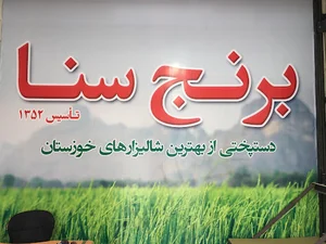 برنج عنبربو سنا
