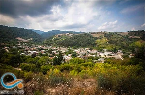 روانشناس فریبا محمودجانلو