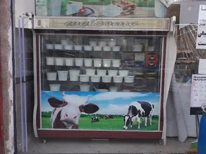 لبنیات سنتی برادران