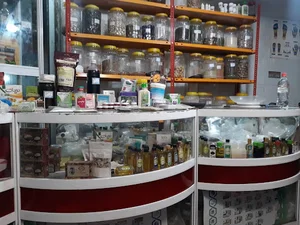 سلامتکده ارمغان سبز