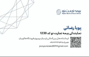 بیمه تجارت نو-نمایندگی رضائی 2