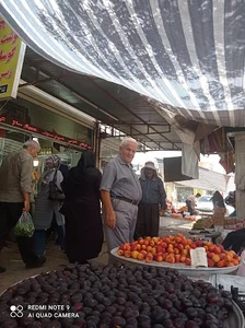میوه فروشی پوریا کنجور