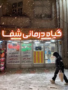 گیاه درمانی شفا - عطاری - رشت 3