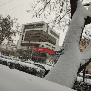 دکتر محمد علی جوادی منش