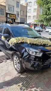 گلسرای پاچیرا