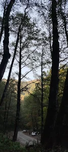 دالخانی