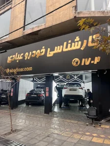 کارشناسی خودرو عبادی 2