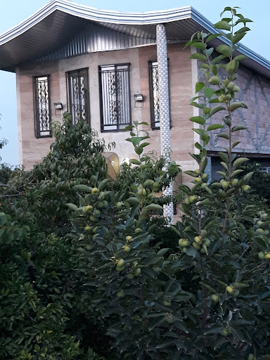 دفتر گردشگری میارسرایا miartour