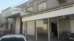 پخش مواد غذایی و بهداشتی جاوید