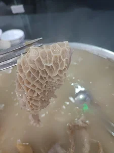 طباخی عمو رضا نمونه