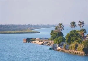 اروند