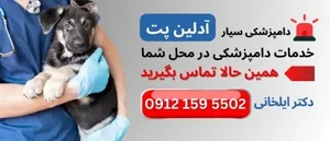 دکتر مسعود بهروج