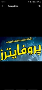 باشگاه پروفایترز
