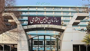 سازمان نظام دامپزشکی استان آذربایجان غربی
