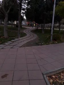 بوستان لاله