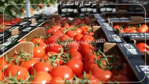 فروشگاه ایران برزگر قنبری