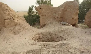 سخل گزین