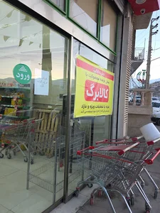 دیلی مارکت