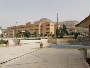 علوم پزشکی ایلام