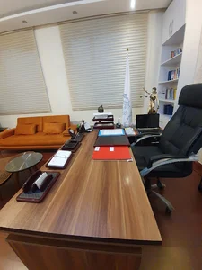 افرا وکیل