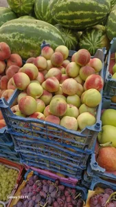 سوپر میوه مرتضی 2