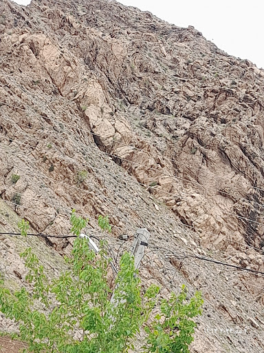 کارخانه شالی کوبی