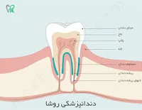 لابراتوار دندانسازی