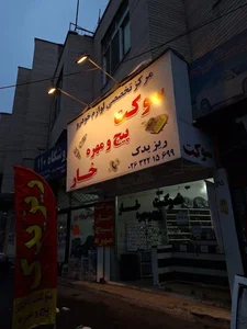 ریزیدک 4