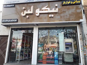 لبنیاتی نیکولبن