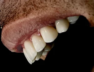 مطب دکتر علیرضا دهش 2