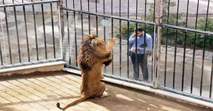 باغ وحش