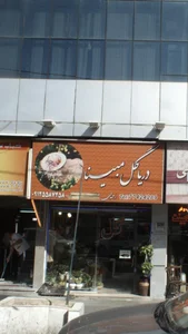 دریا گل مبینا 3