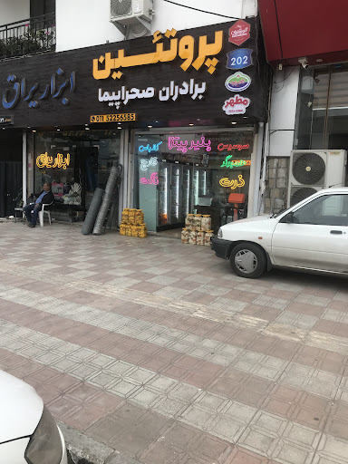 پروتیین برادران صحراپیما