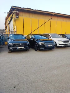 کارشناسی و تشخصی رنگ نمونه