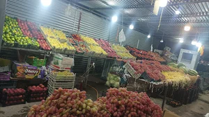 میوه و تره بار پرسپولیس