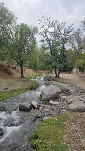 روستای انار